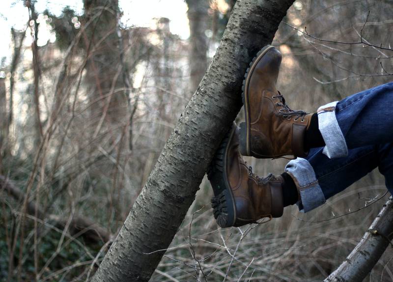 Timberlands for Hiking