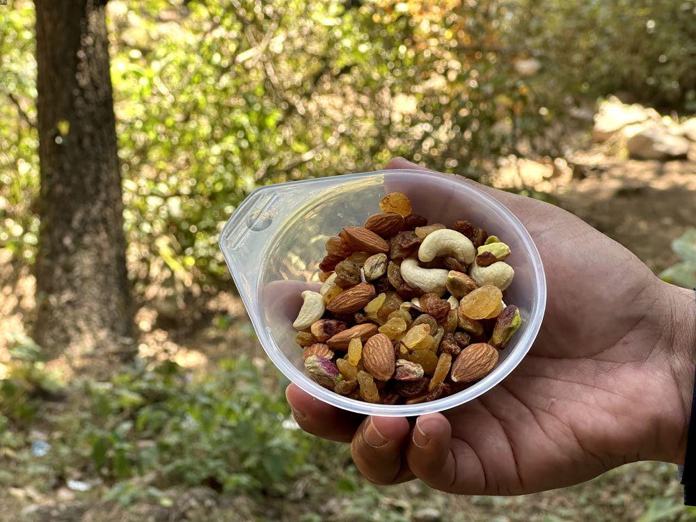 A bowl filled with trail mix while camping