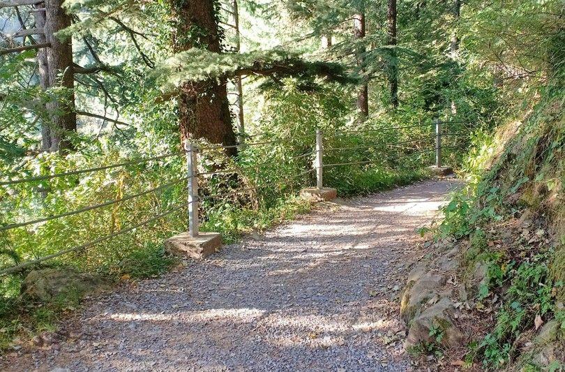 A scenic beginner friendly hiking trail for solo hiking